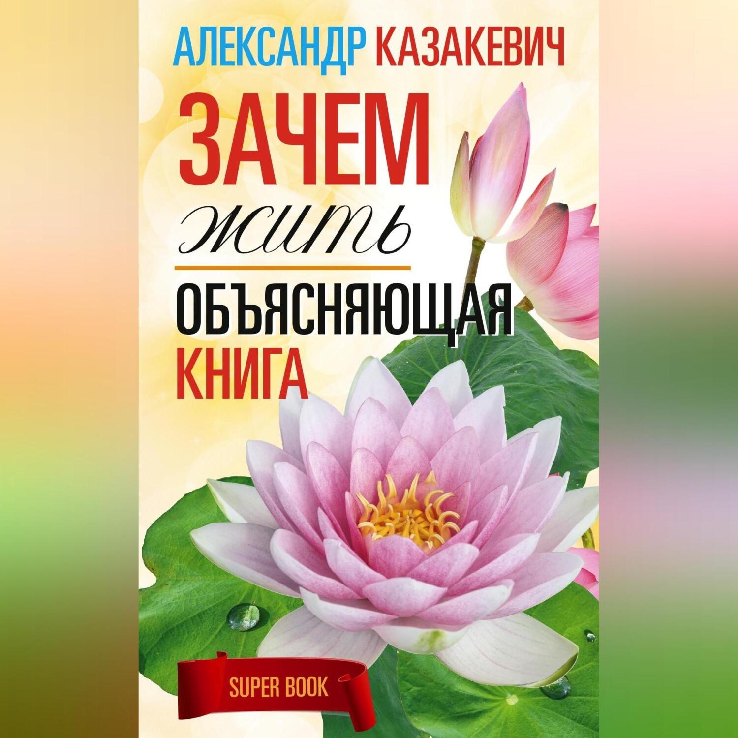 Обложка книги «Зачем жить. Объясняющая книга»