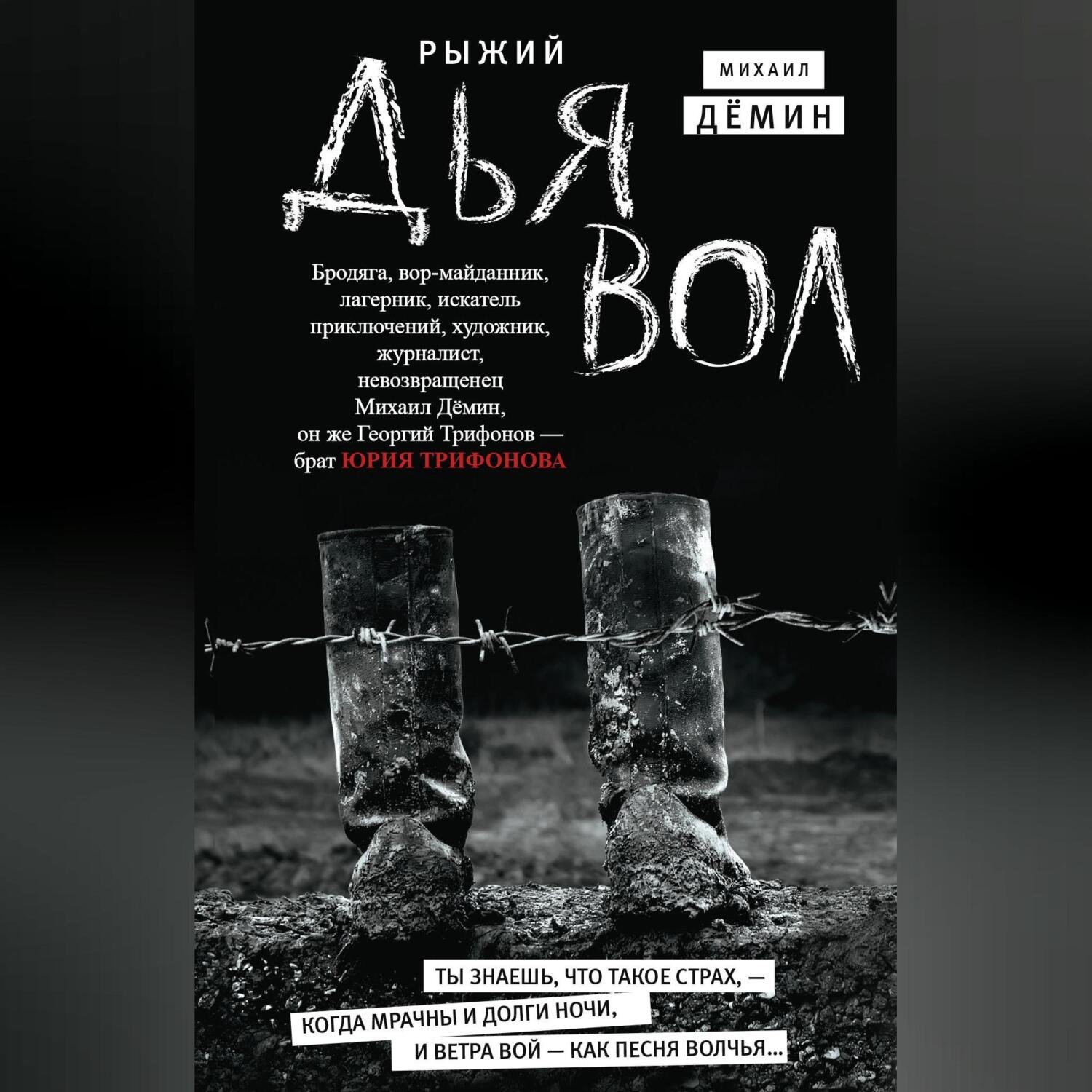 Обложка книги «Рыжий дьявол»