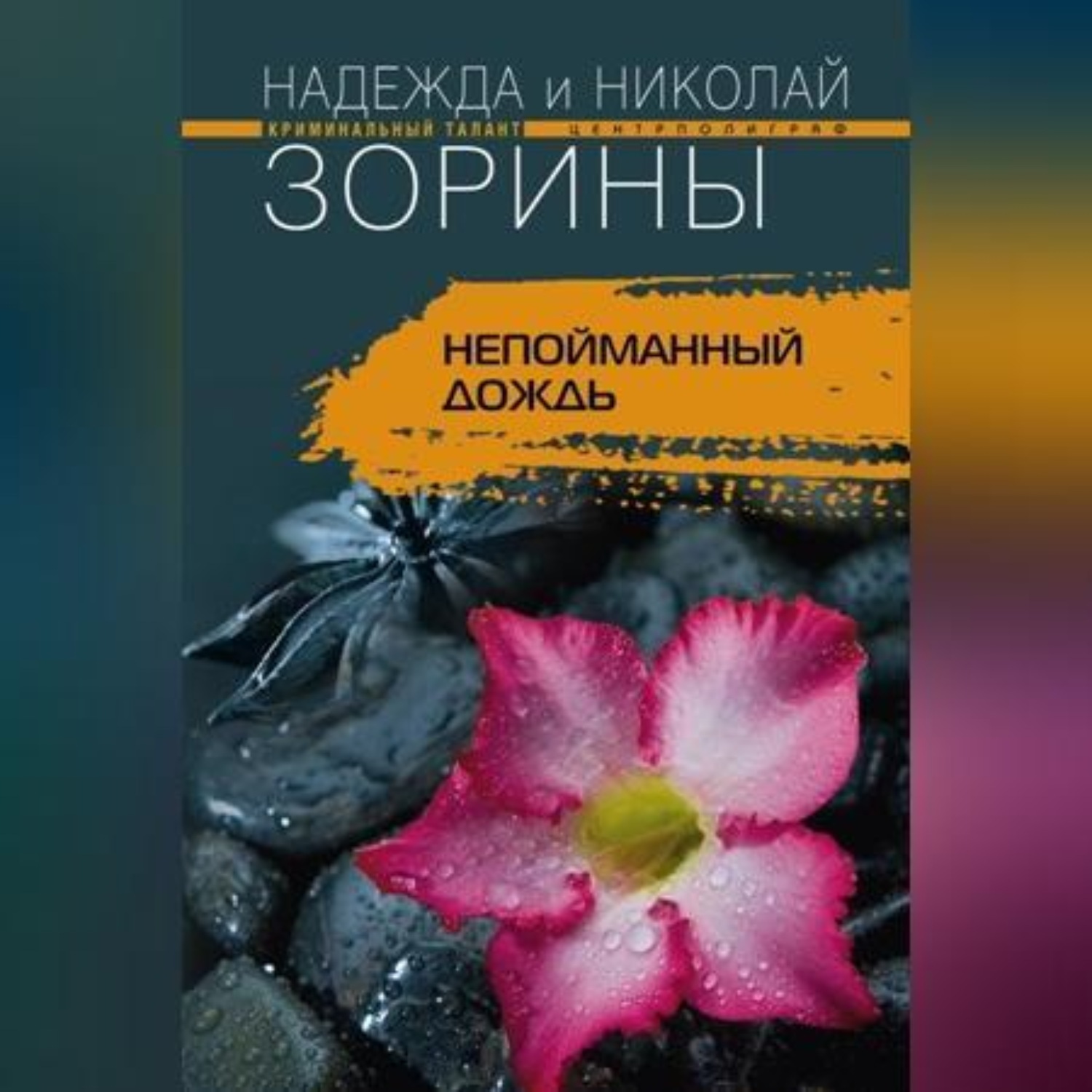 Обложка книги «Непойманный дождь»