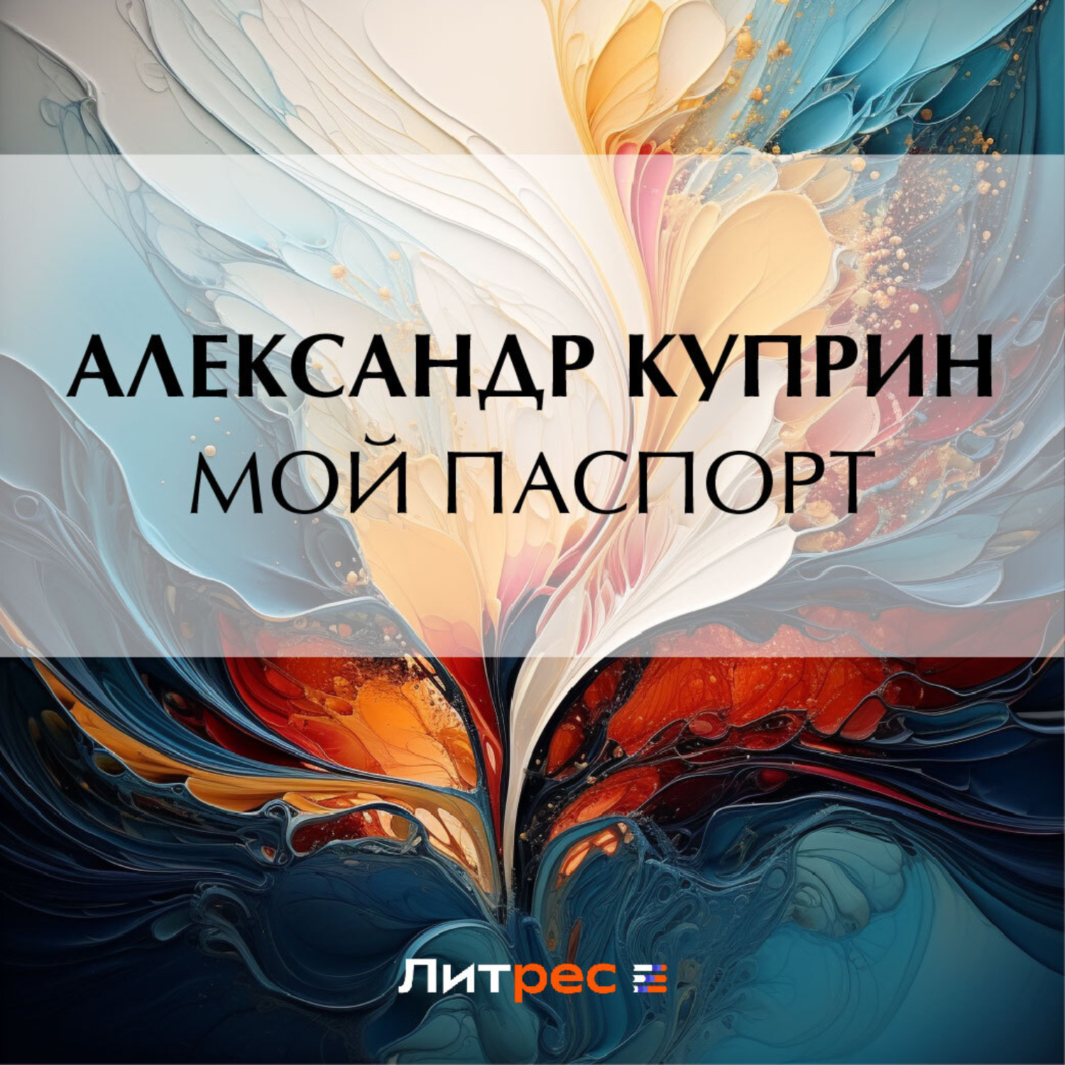 Обложка книги «Мой паспорт»