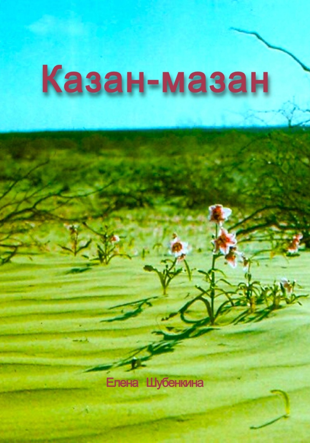 Обложка книги «Казан-мазан»