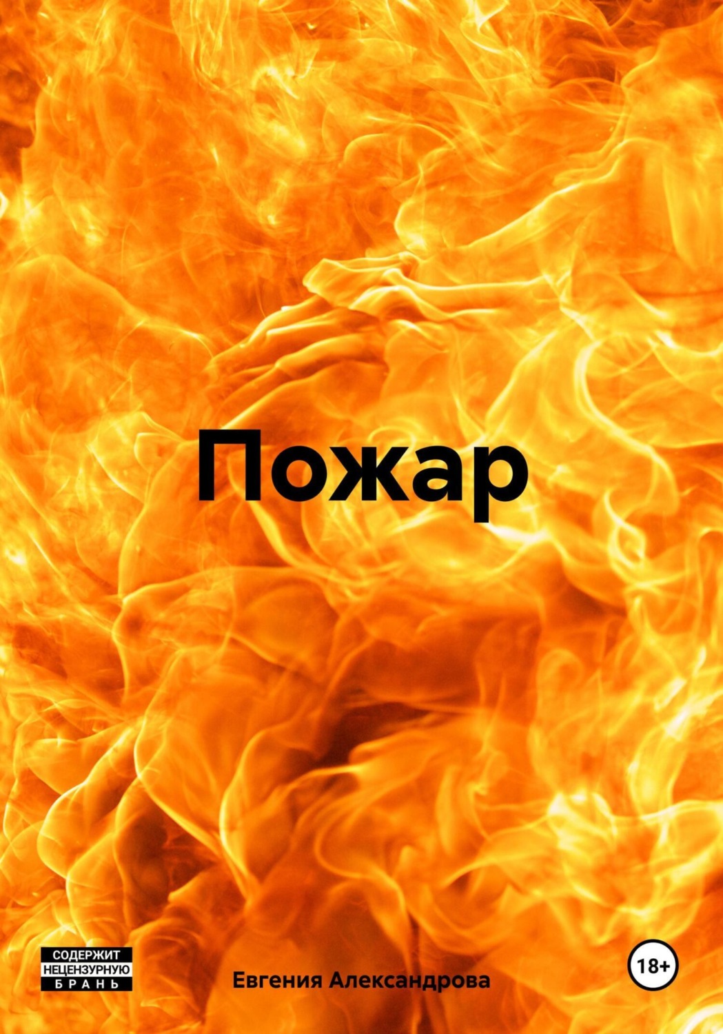 Обложка книги «Пожар»