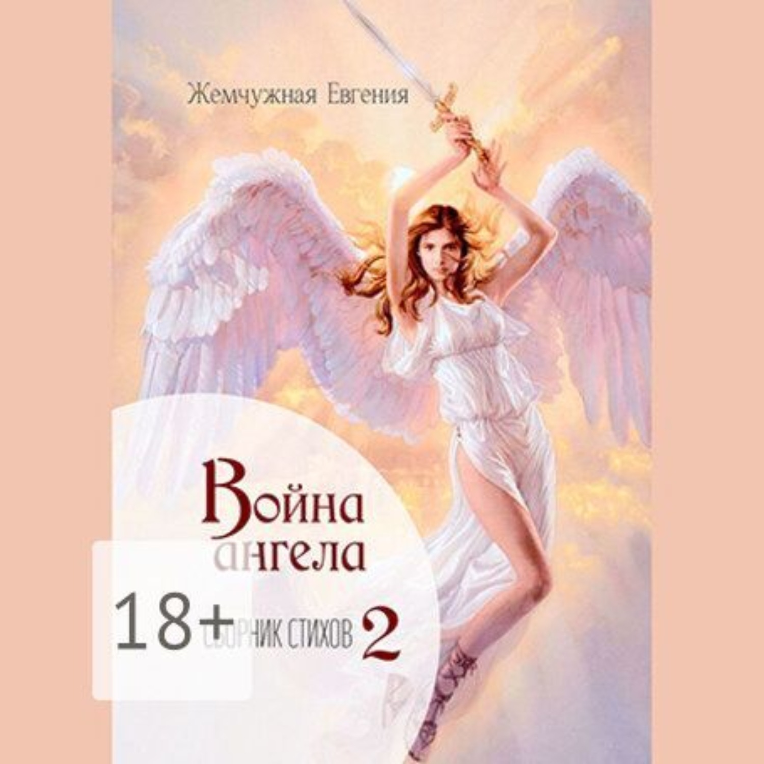 Обложка книги «Война ангела»