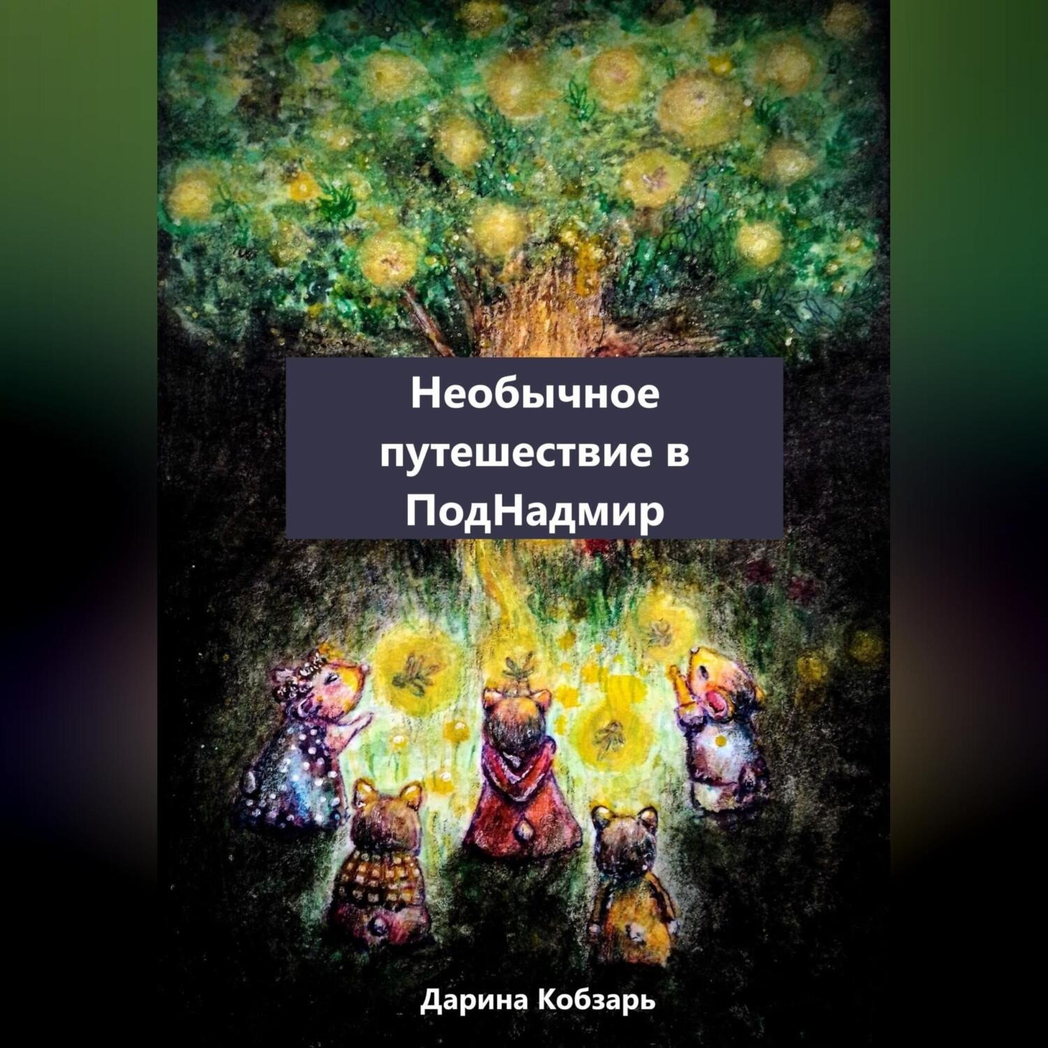 Обложка книги «Необычное путешествие в ПодНадмир»
