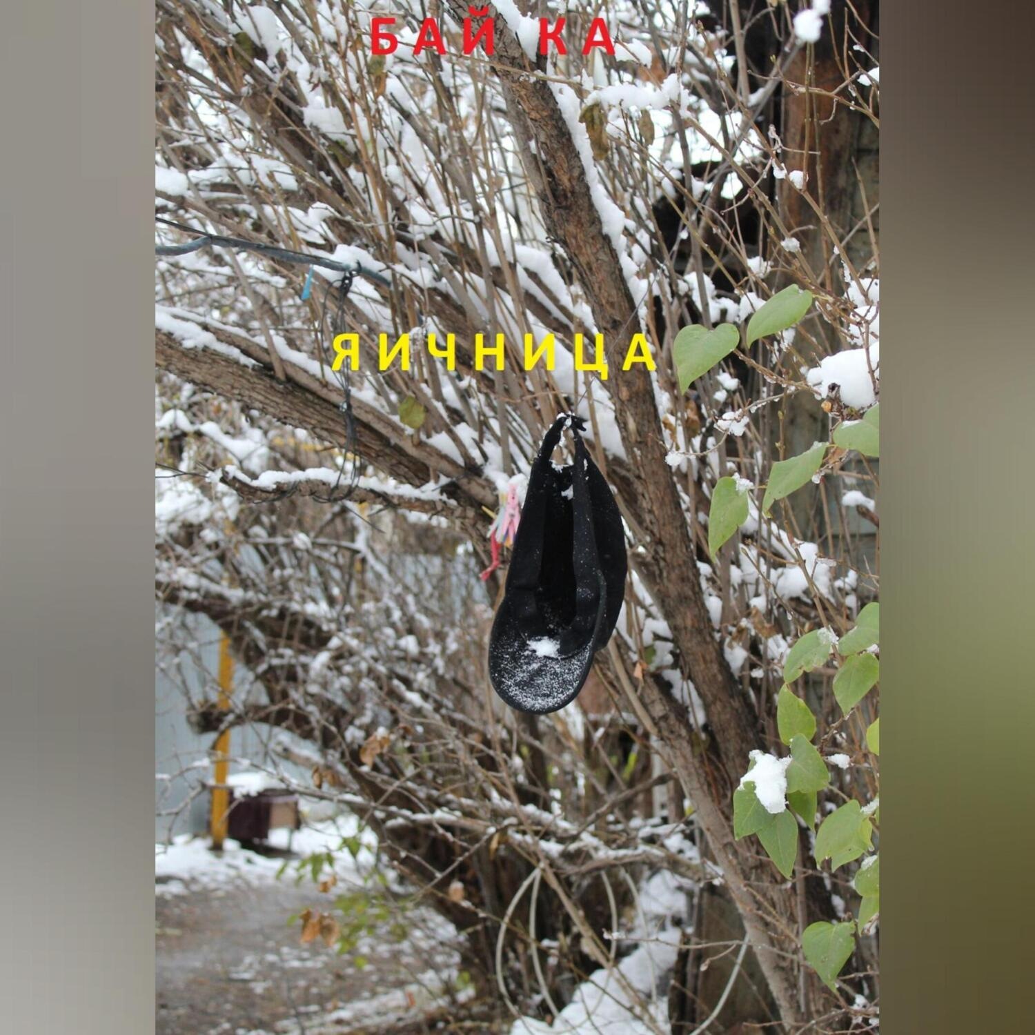 Обложка книги «Яичница»