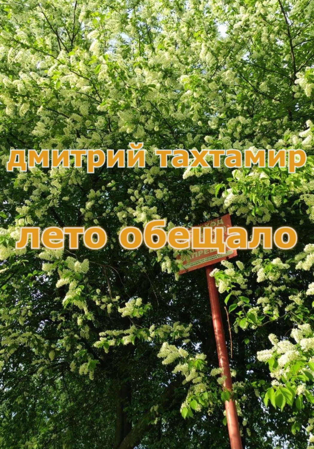 Обложка книги «Лето обещало»