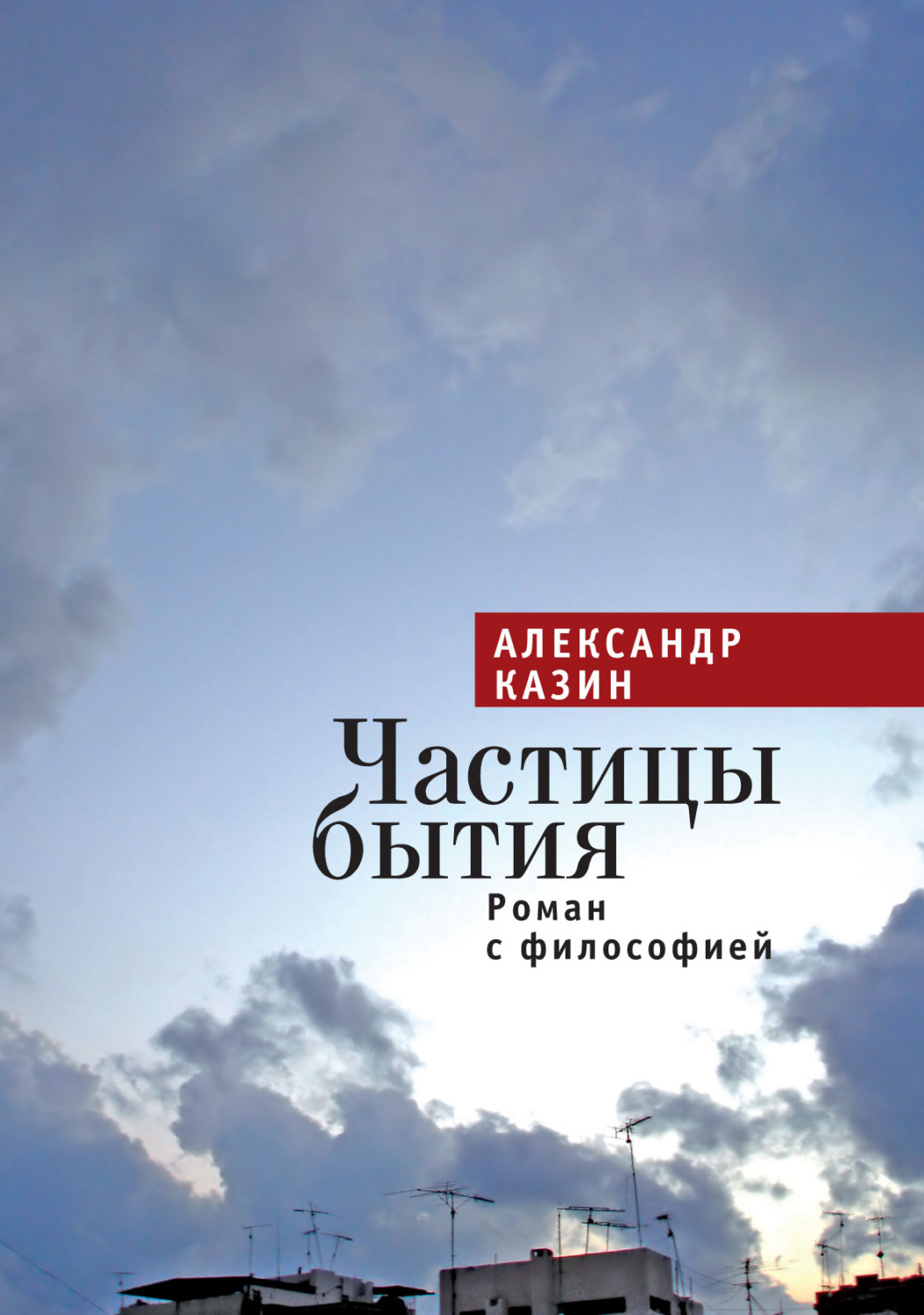 Обложка книги «Частицы бытия. Роман с философией»