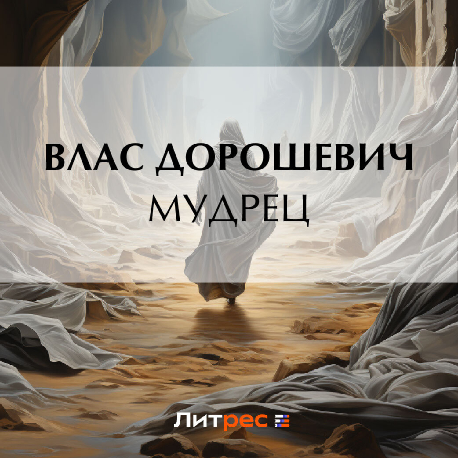 Обложка книги «Мудрец»