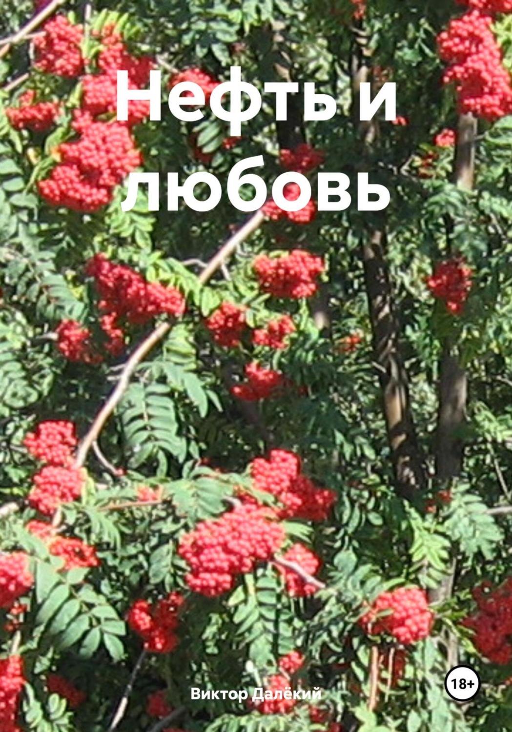 Обложка книги «Нефть и любовь»