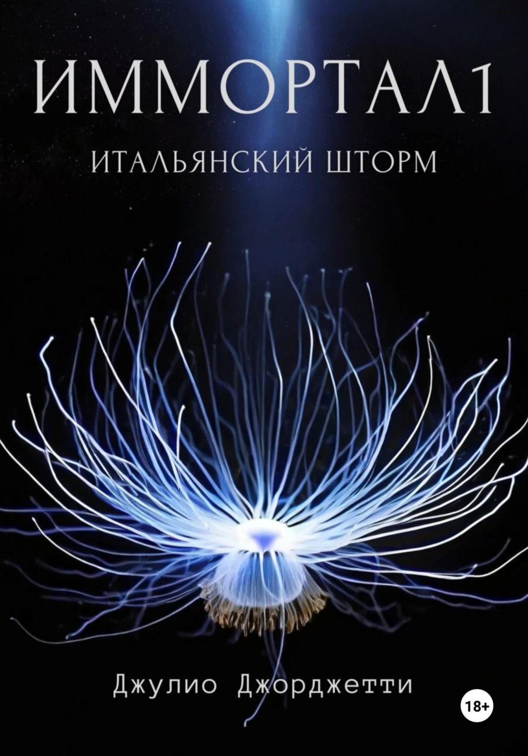Обложка книги «Иммортал1. Итальянский шторм»
