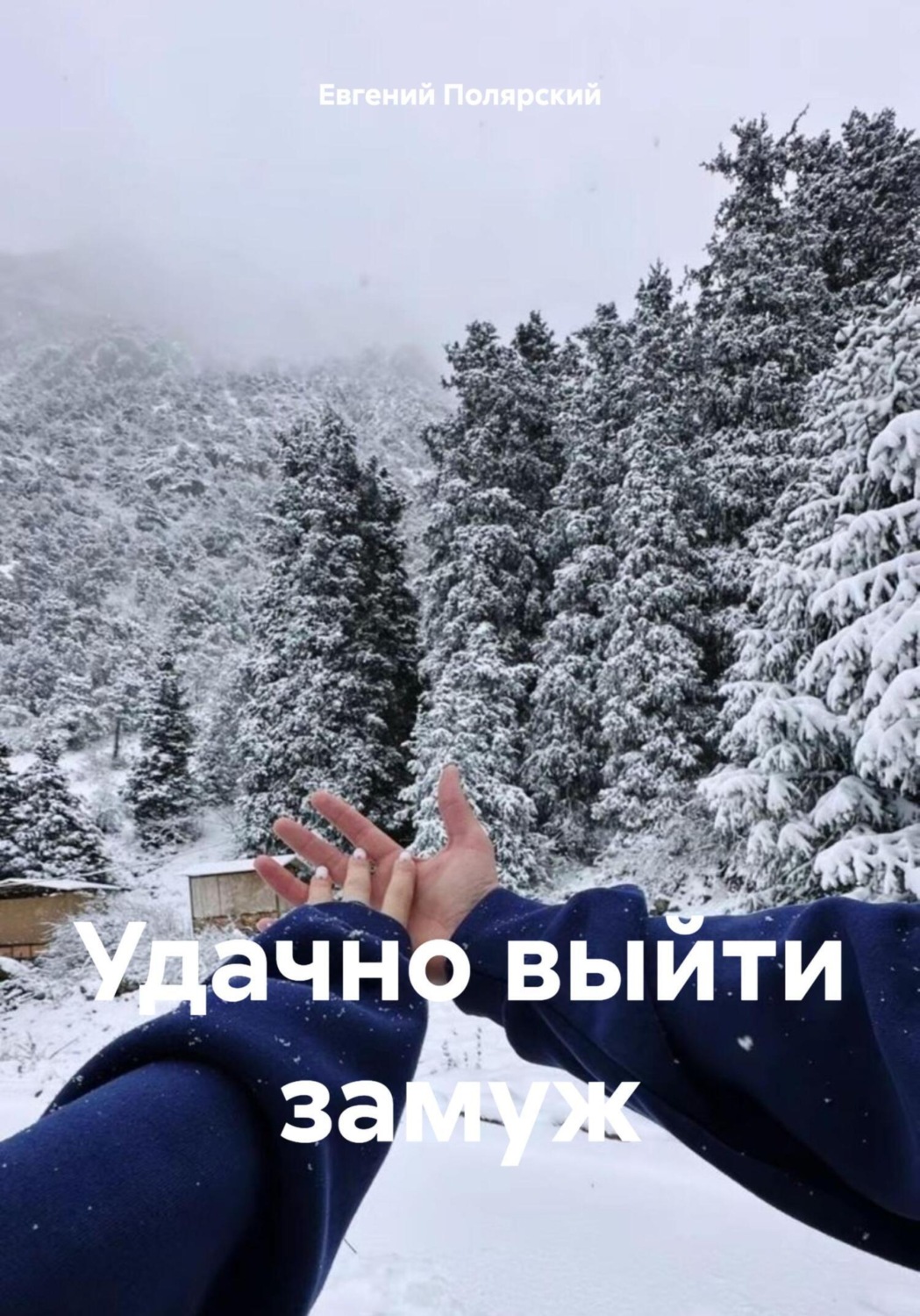 Обложка книги «Удачно выйти замуж»