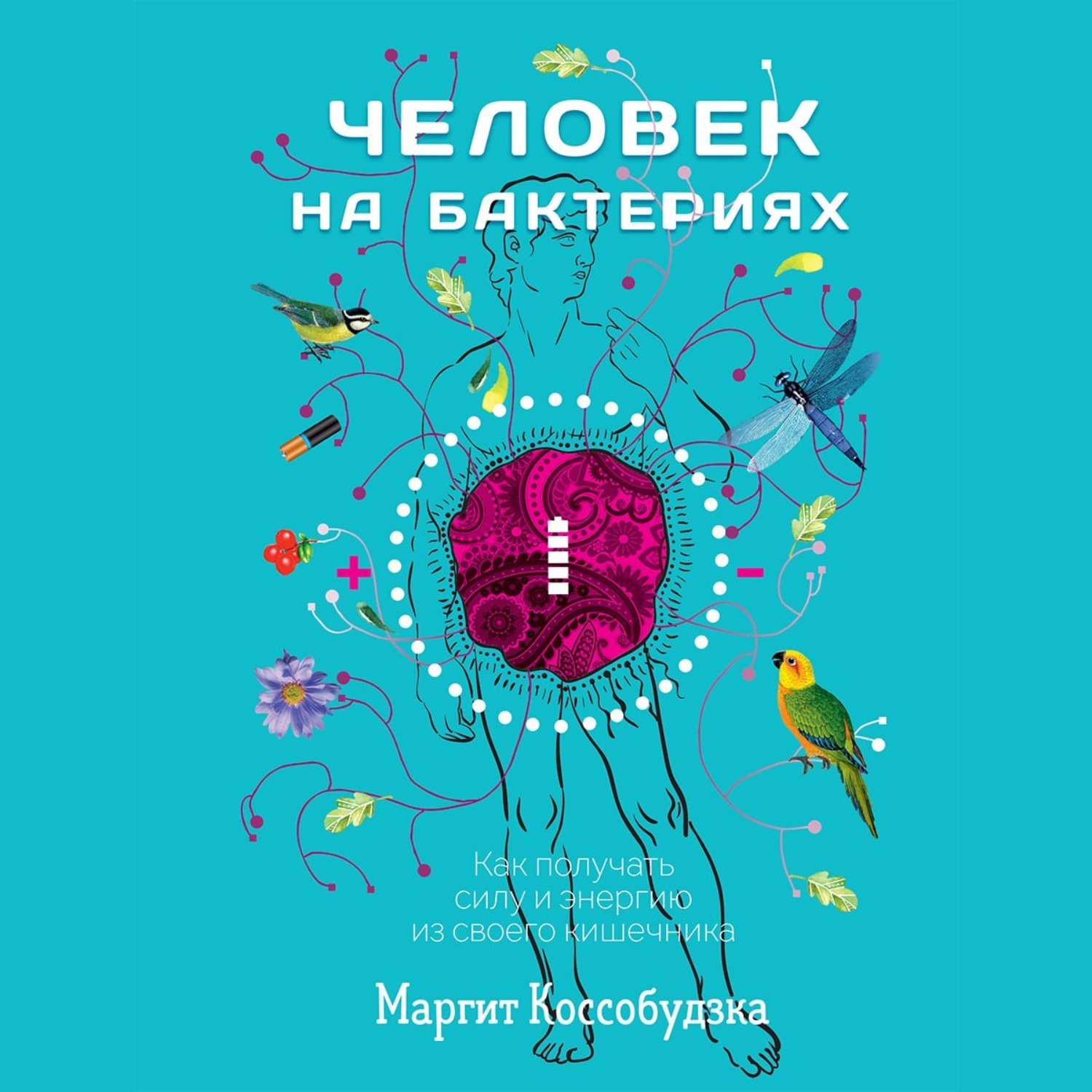 Обложка книги «Человек на бактериях. Как получать силу и энергию из своего кишечника»