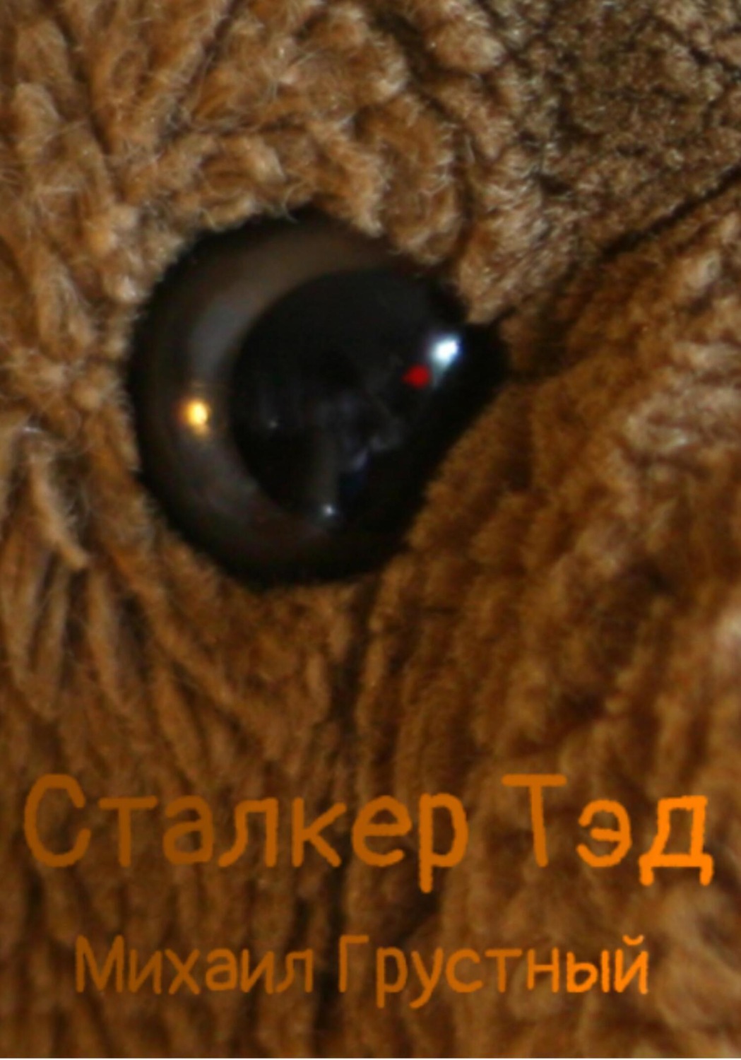 Обложка книги «Сталкер Тэд»