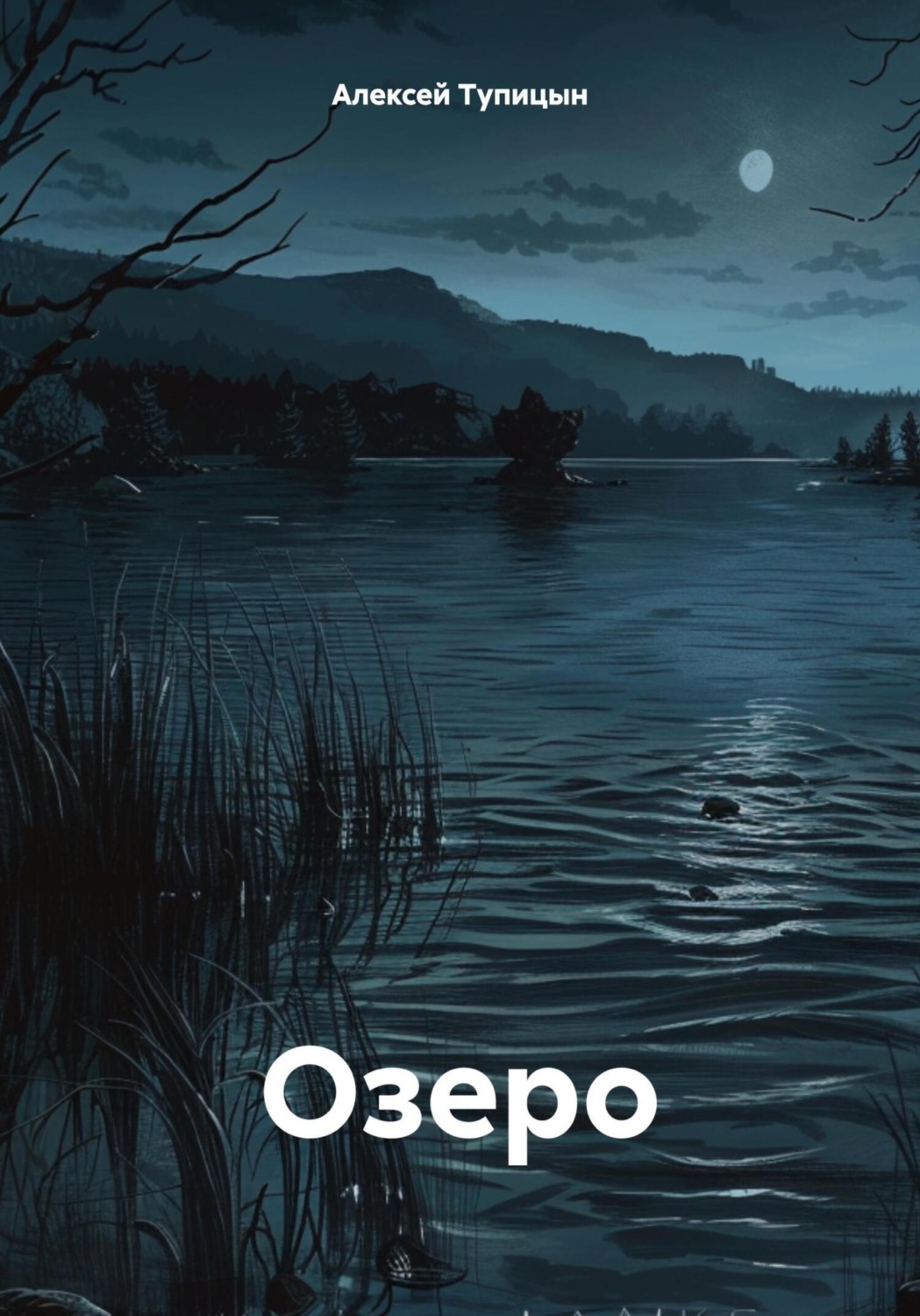 Обложка книги «Озеро»