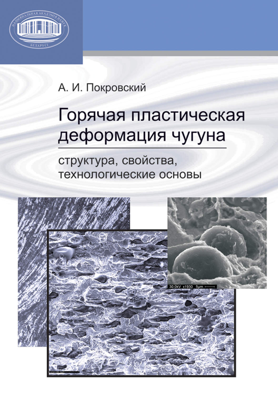 Обложка книги «Горячая пластическая деформация чугуна. Структура, свойства, технологические основы»