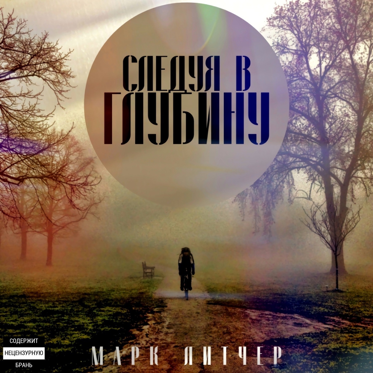 Обложка книги «Следуя в глубину»