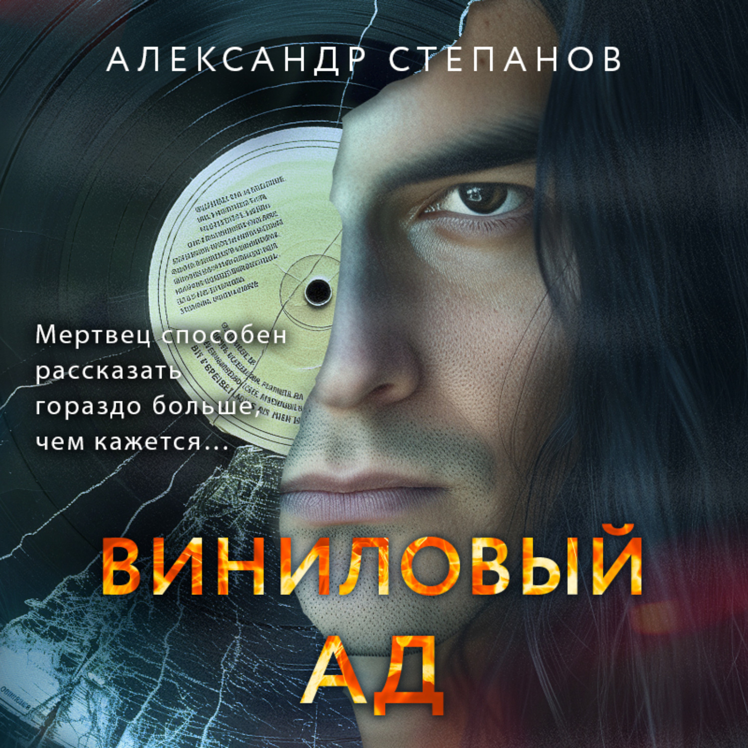Обложка книги «Виниловый ад»