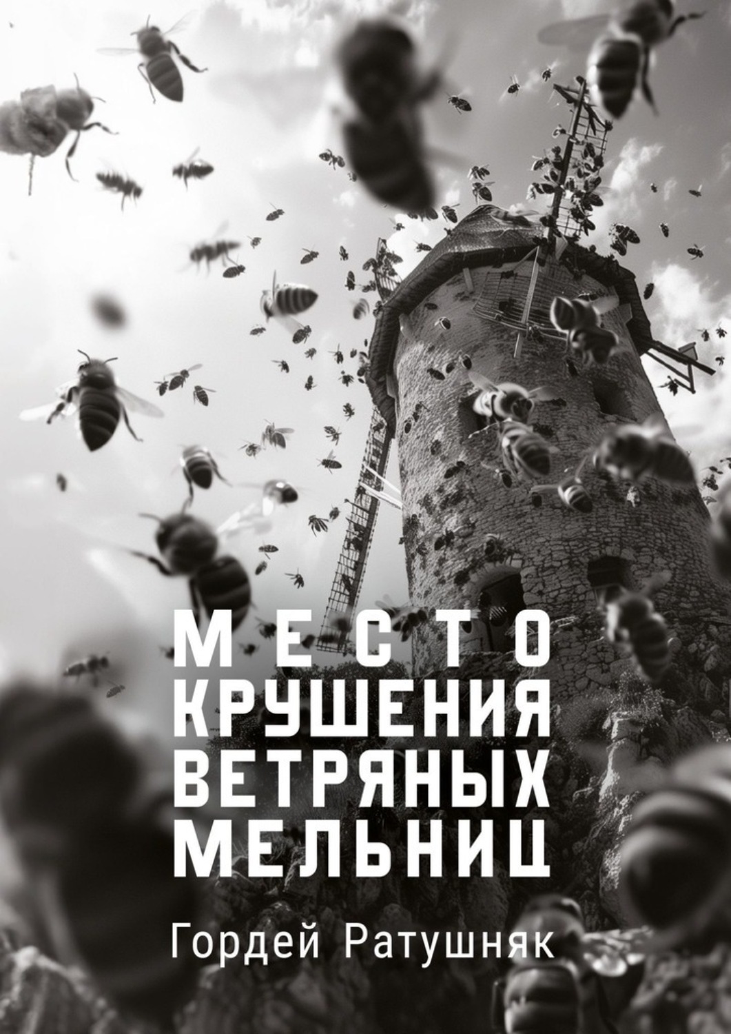 Обложка книги «Место крушения ветряных мельниц»