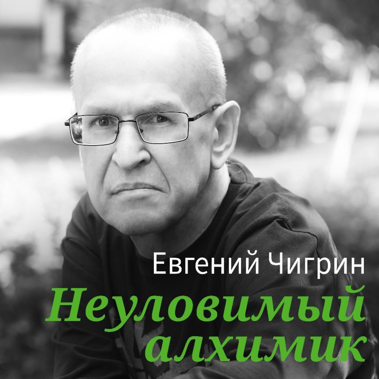 Обложка книги «Неуловимый алхимик»