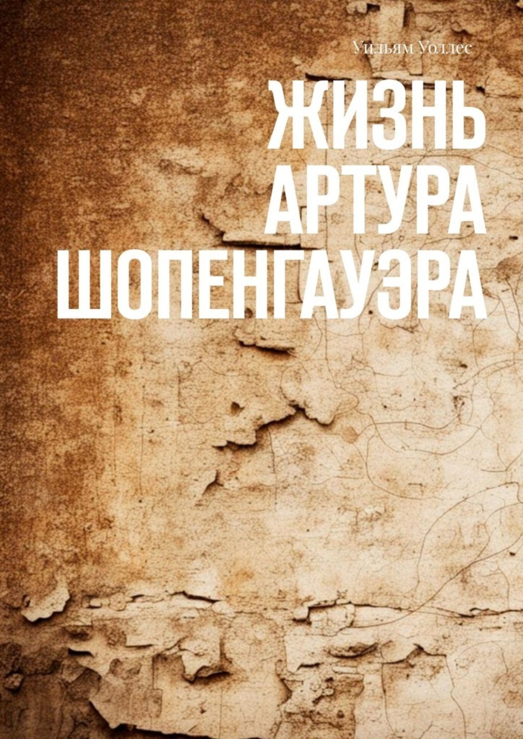 Обложка книги «Жизнь Артура Шопенгауэра»