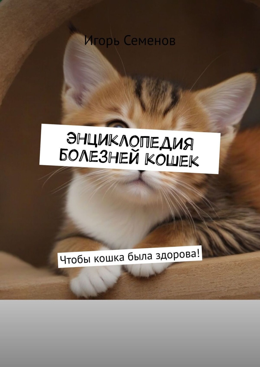 Обложка книги «Энциклопедия болезней кошек. Чтобы кошка была здорова!»