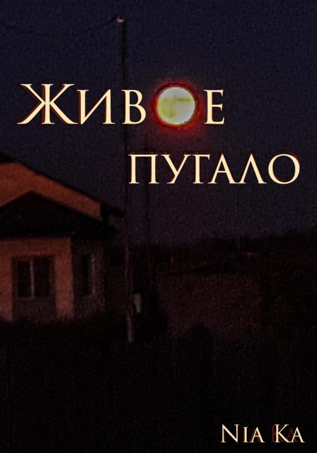 Обложка книги «Живое пугало»