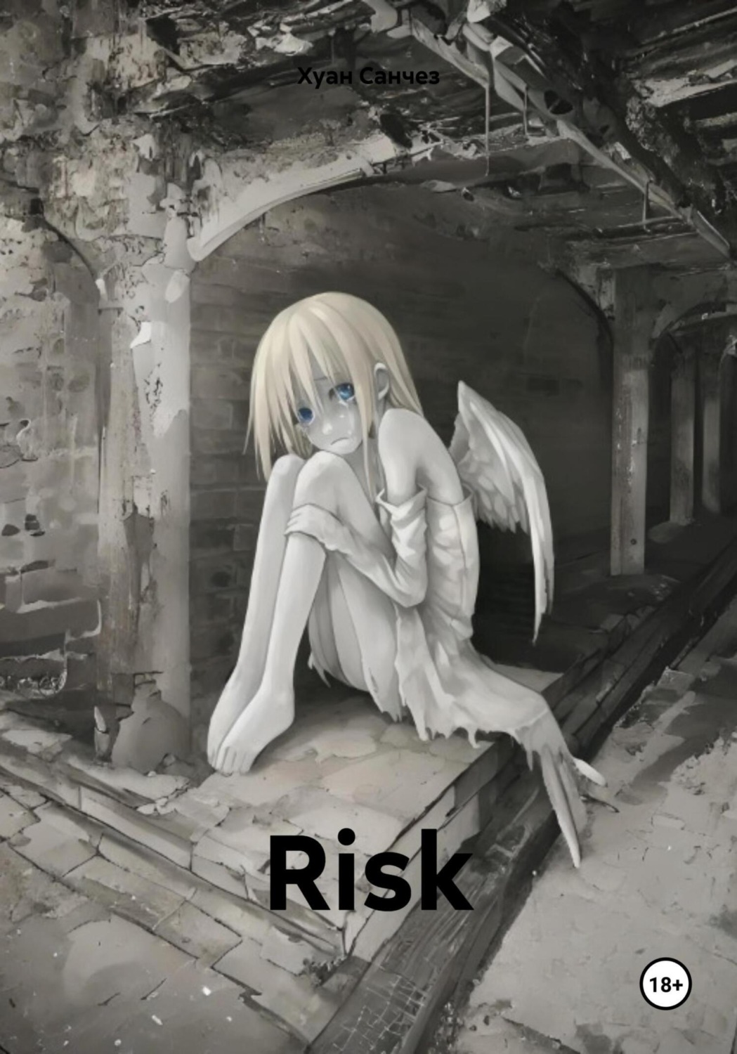 Обложка книги «Risk»