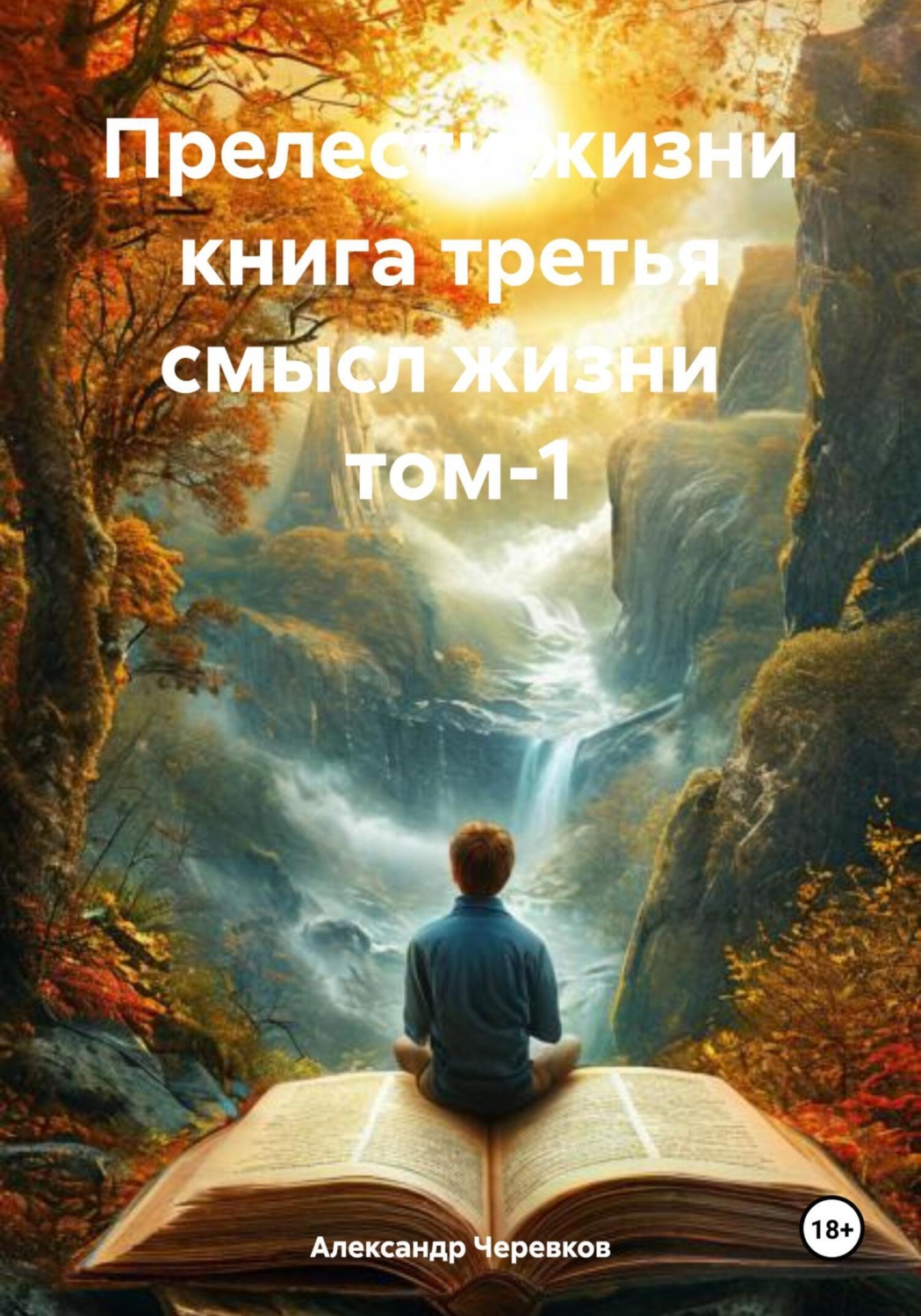 Обложка книги «Смысл жизни Том-1»