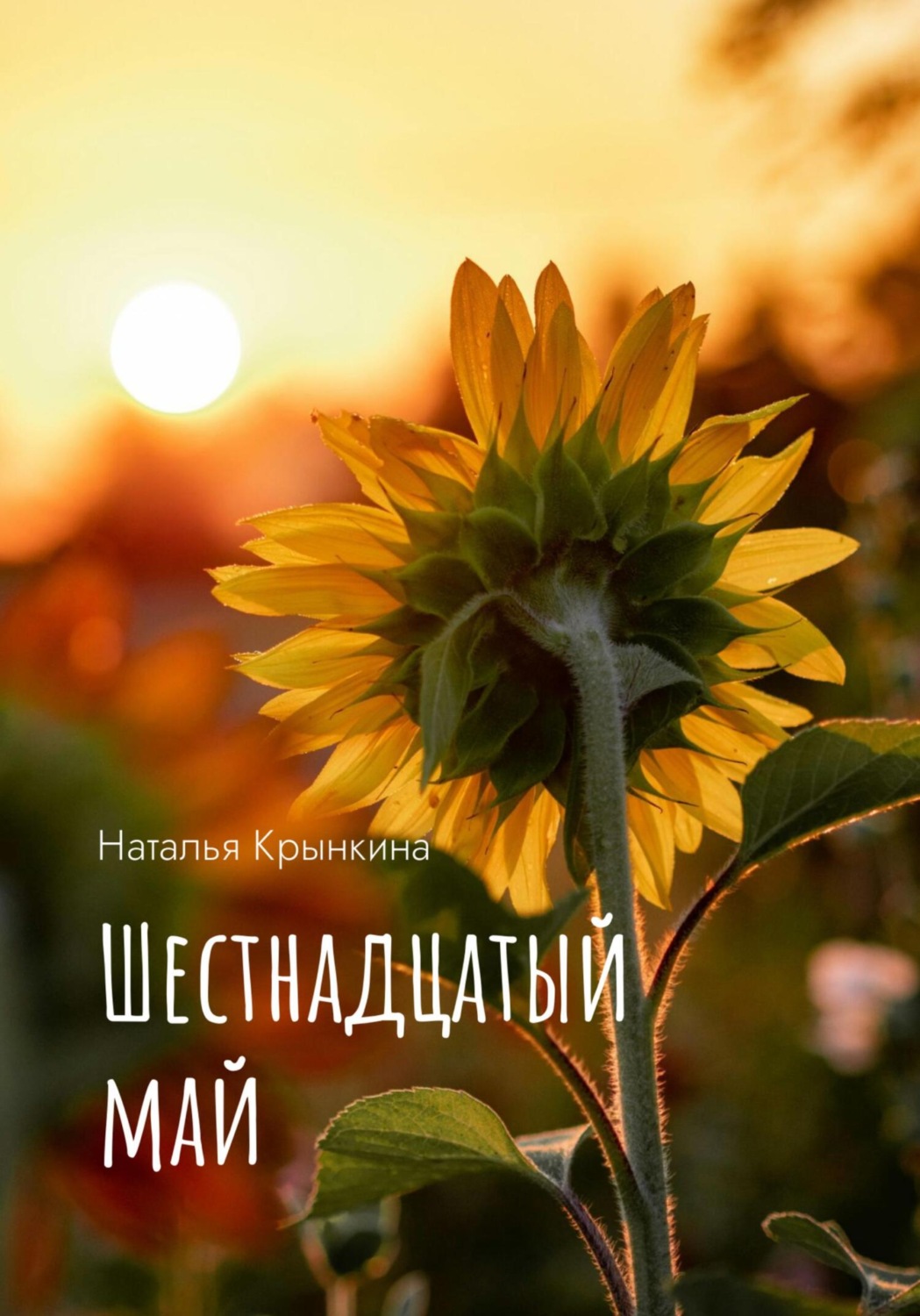 Обложка книги «Шестнадцатый май»