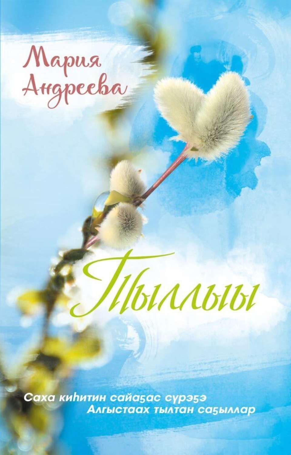 Обложка книги «Тыллыы»