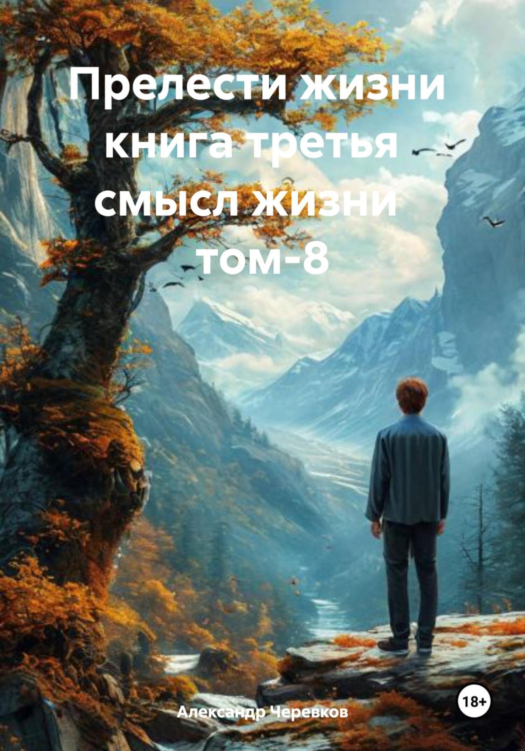 Обложка книги «Смысл жизни Том-8»