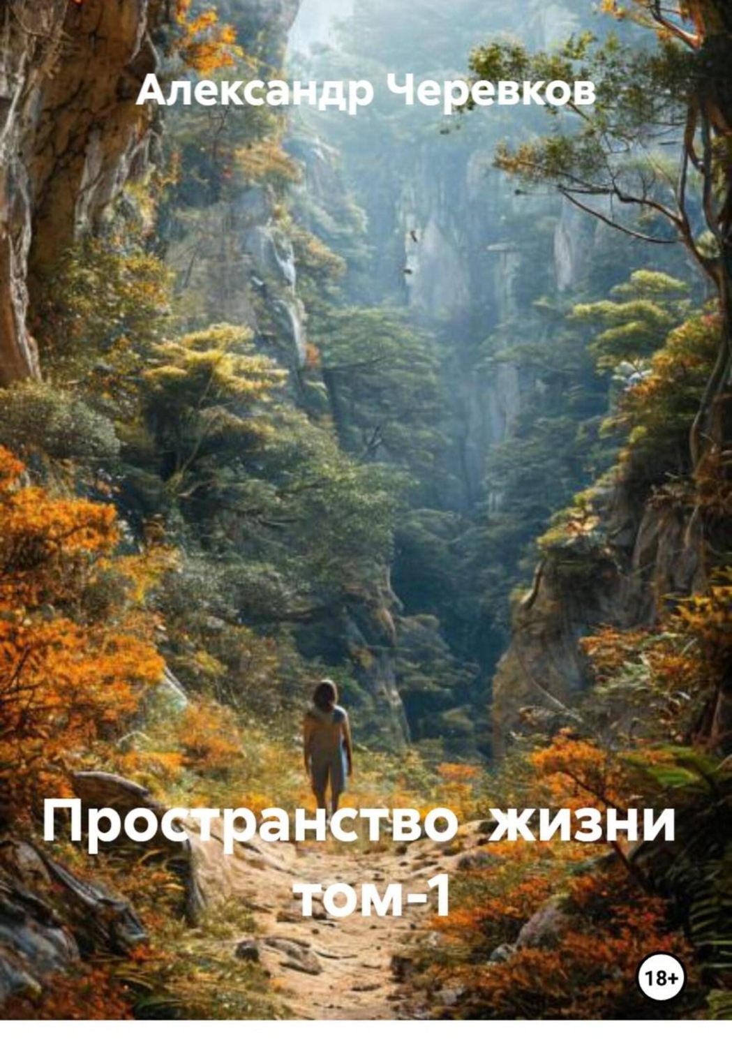 Обложка книги «Пространство жизни Том-1»