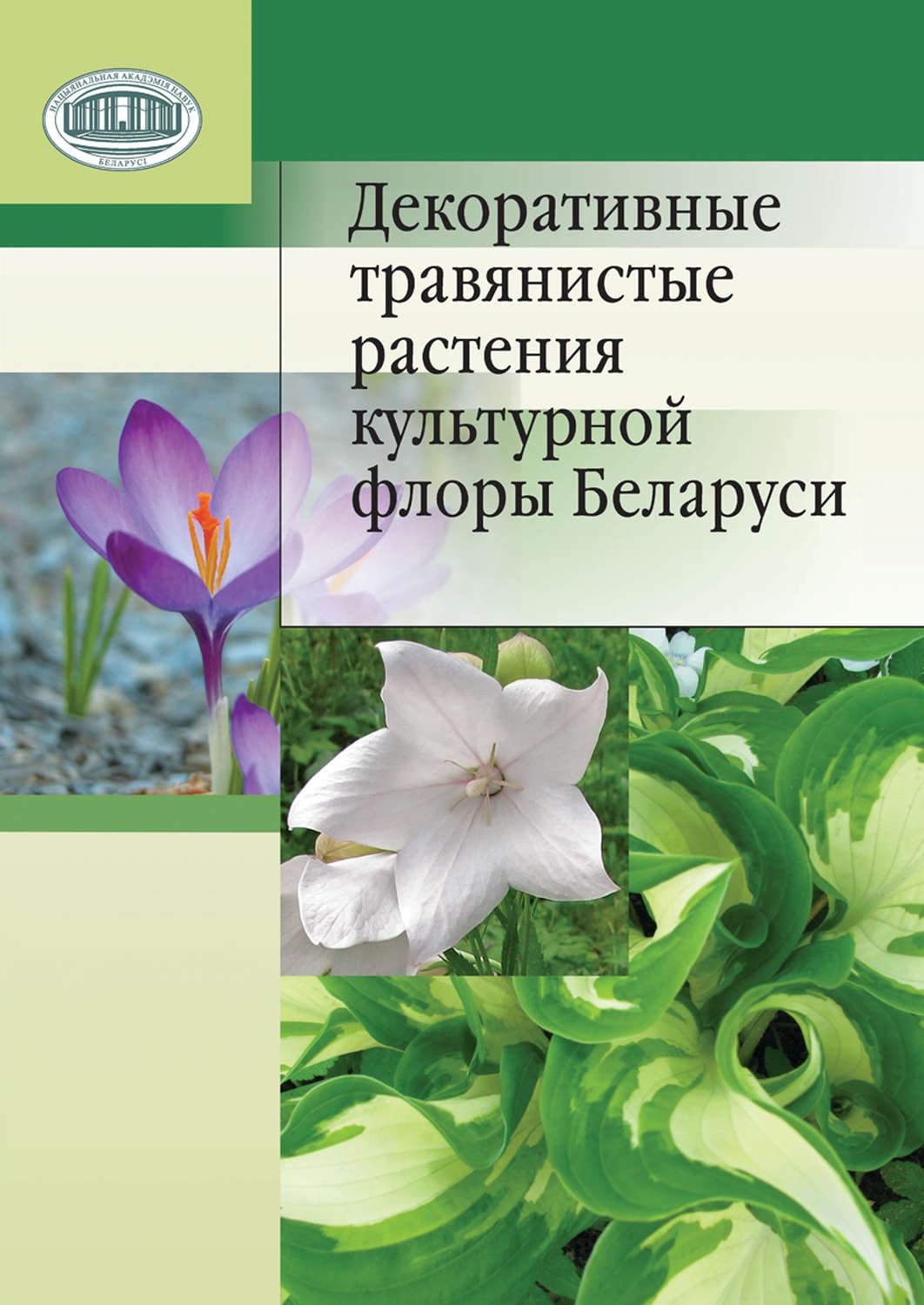 Обложка книги «Декоративные травянистые растения культурной флоры Беларуси»