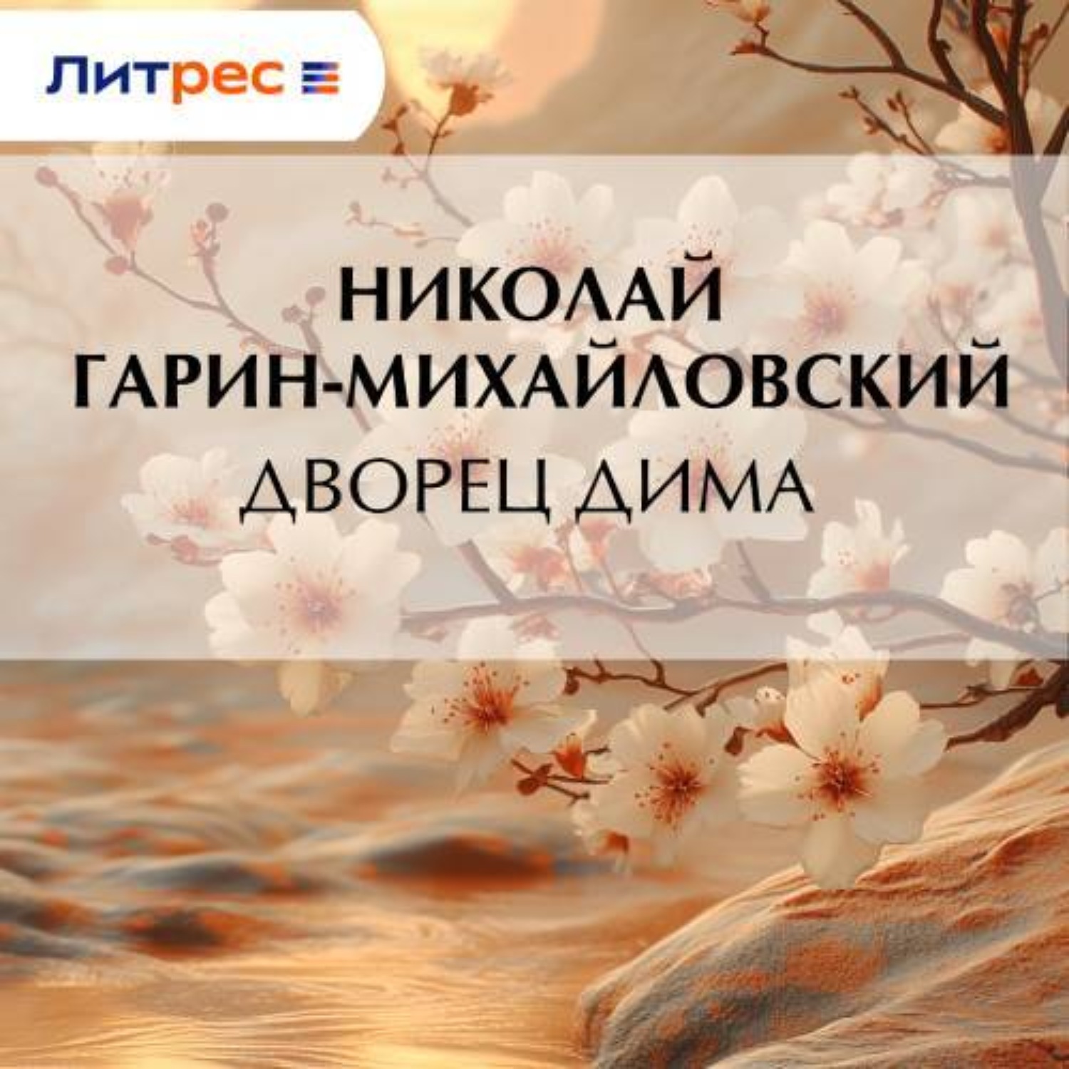 Обложка книги «Дворец Дима»