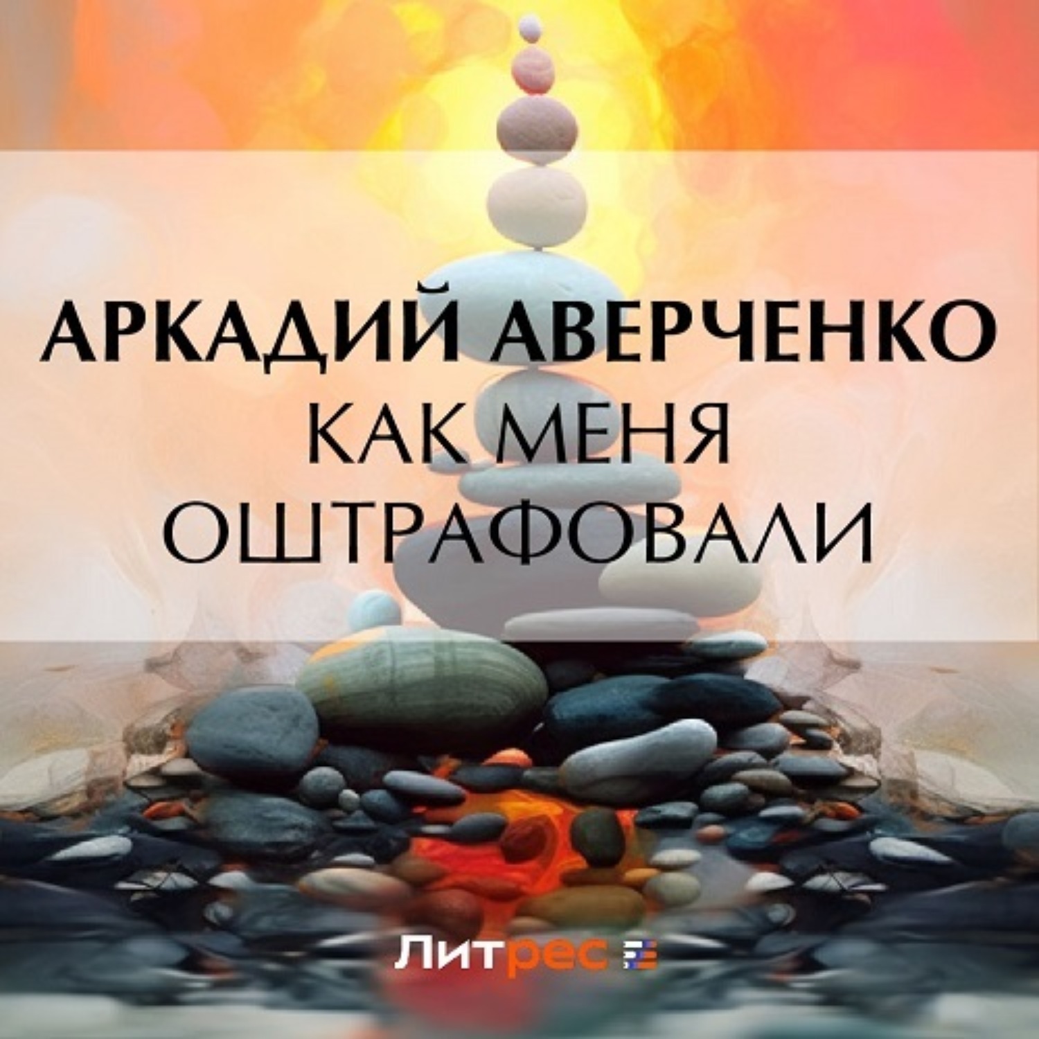 Обложка книги «Как меня оштрафовали»