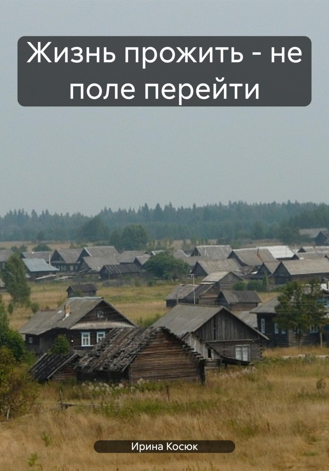 Обложка книги «Жизнь прожить - не поле перейти»