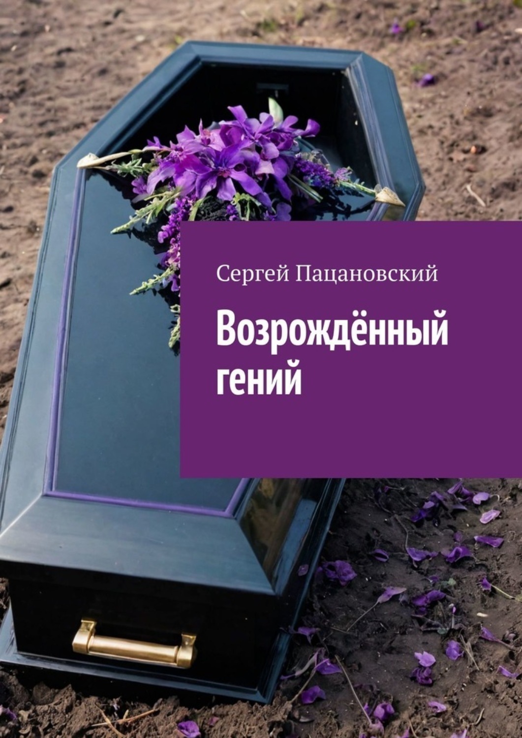 Обложка книги «Возрождённый гений»