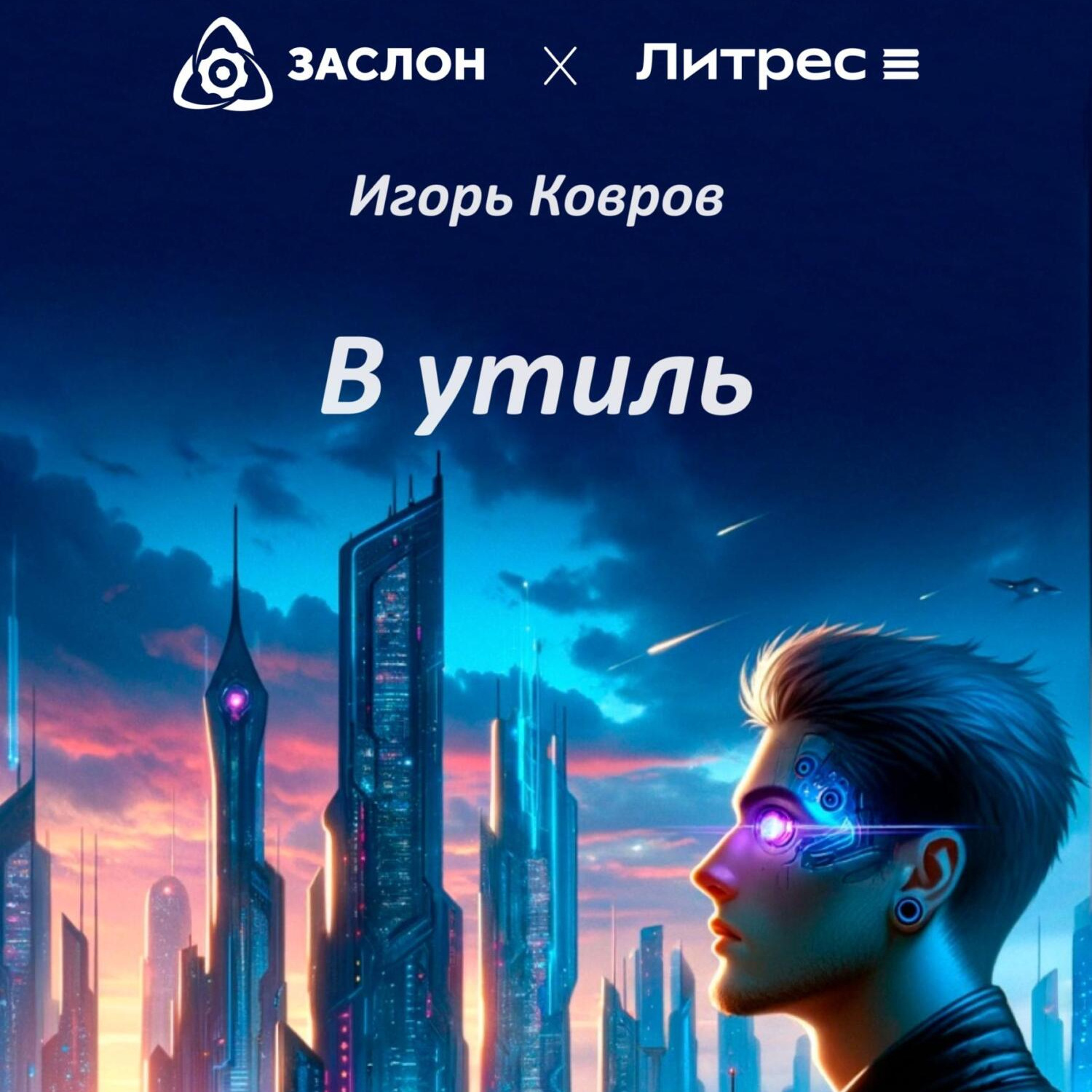 Обложка книги «В утиль»
