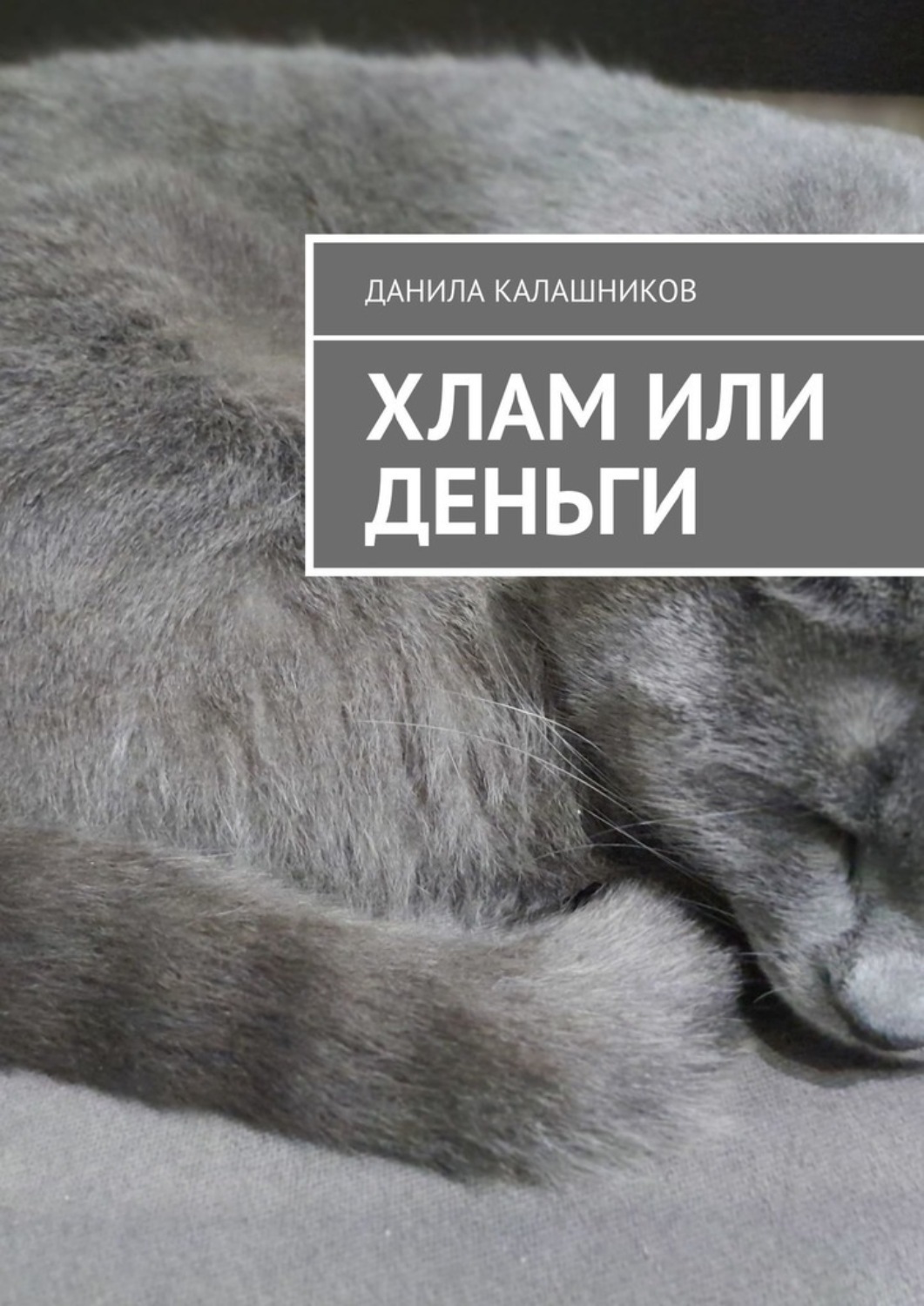 Обложка книги «Хлам или деньги»