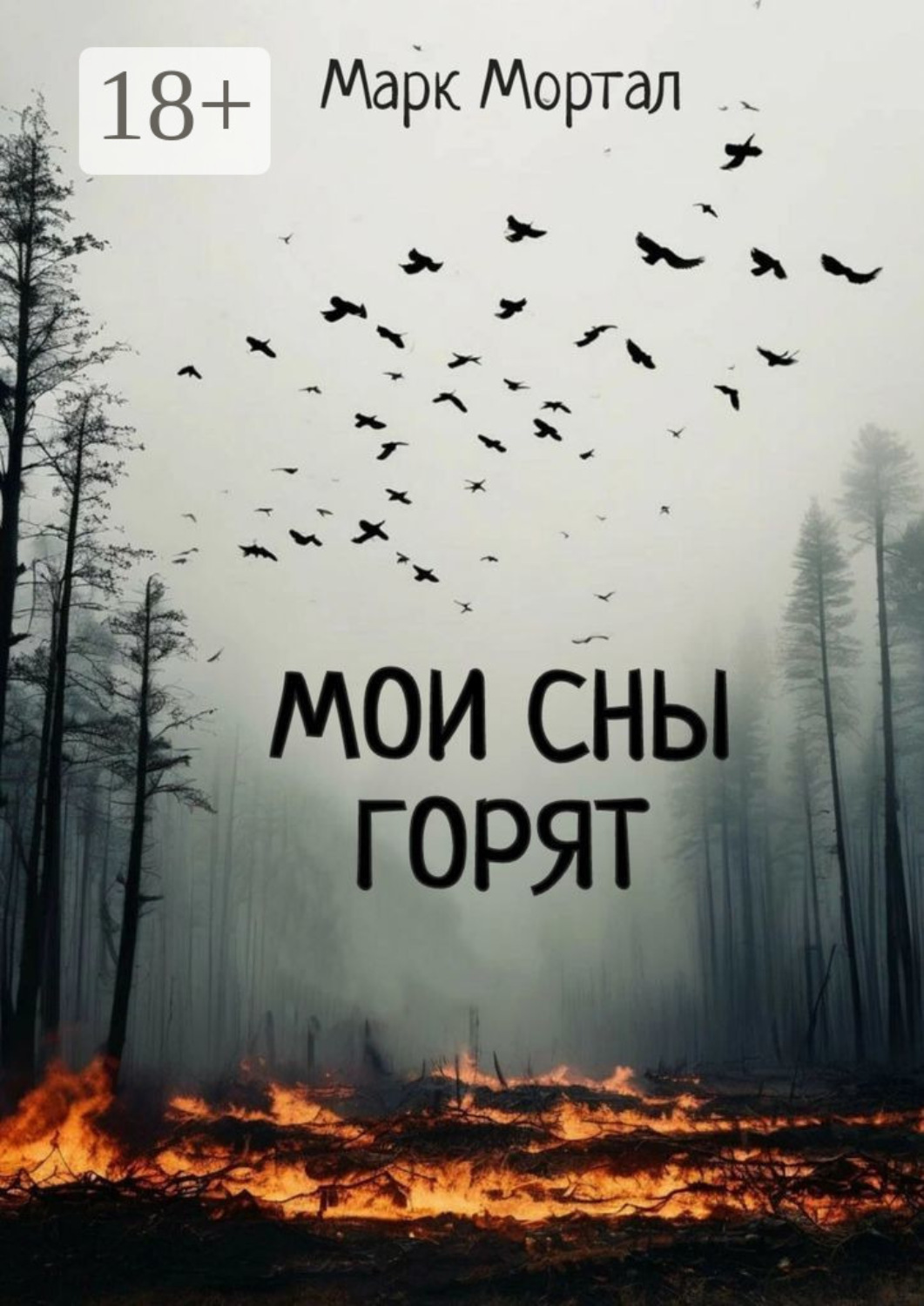 Обложка книги «Мои сны горят»