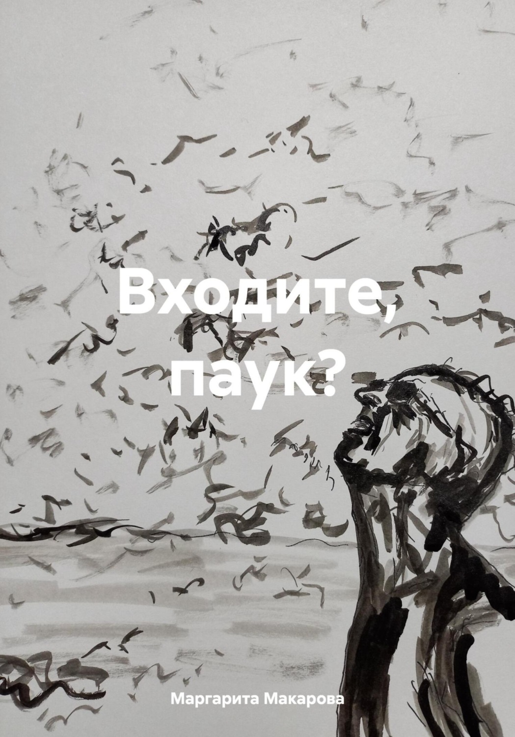 Обложка книги «Входите, паук?»