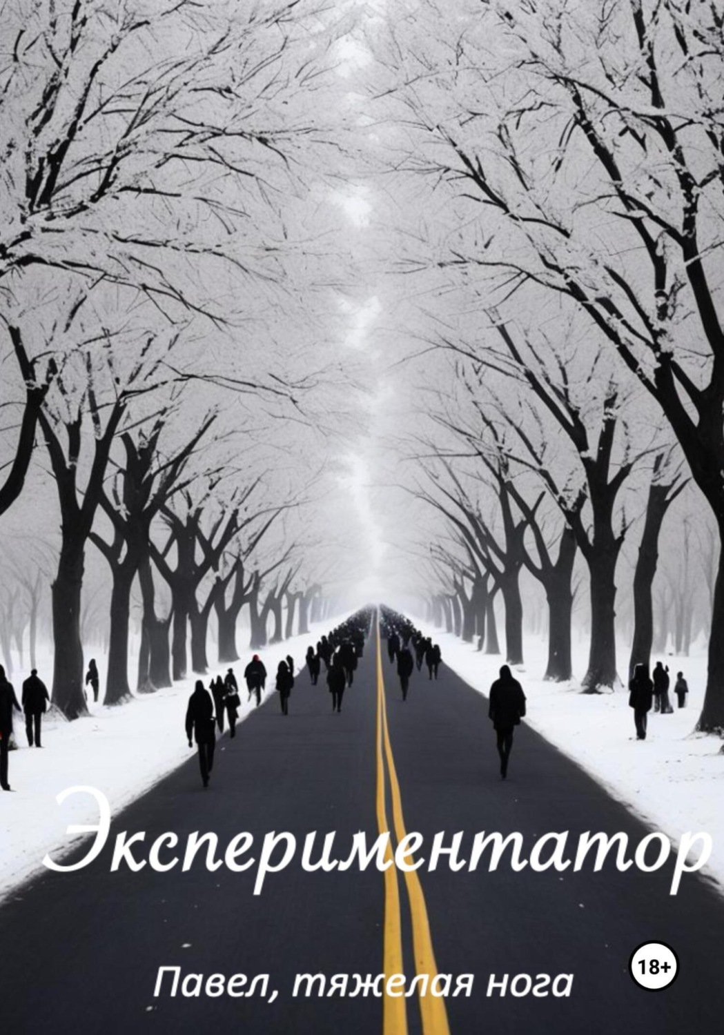 Обложка книги «Экспериментатор»