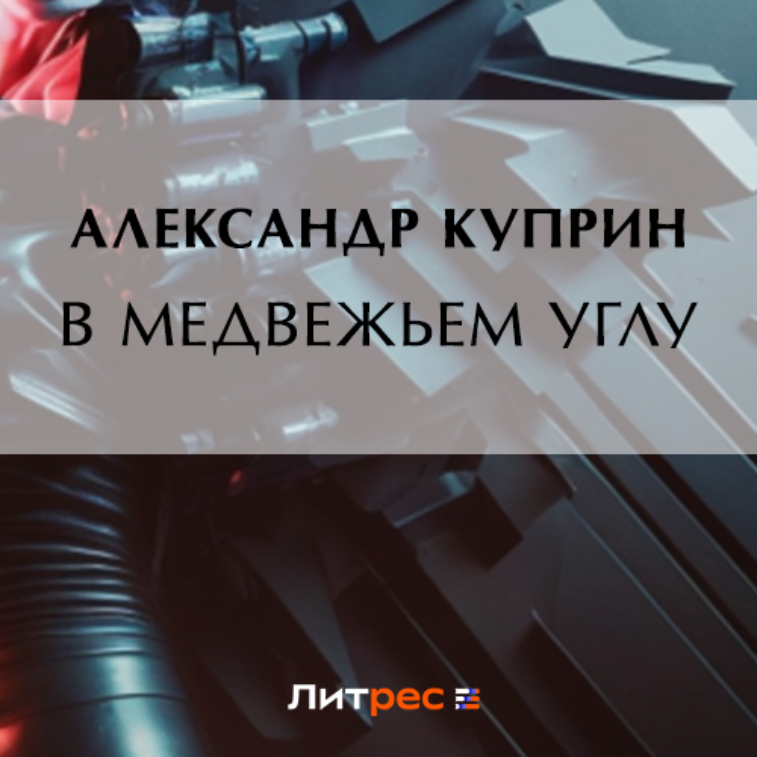 Обложка книги «В медвежьем углу»