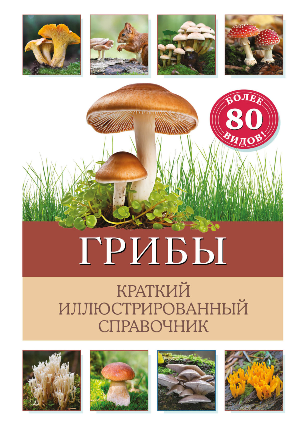 Обложка книги «Грибы. Краткий иллюстрированный справочник»