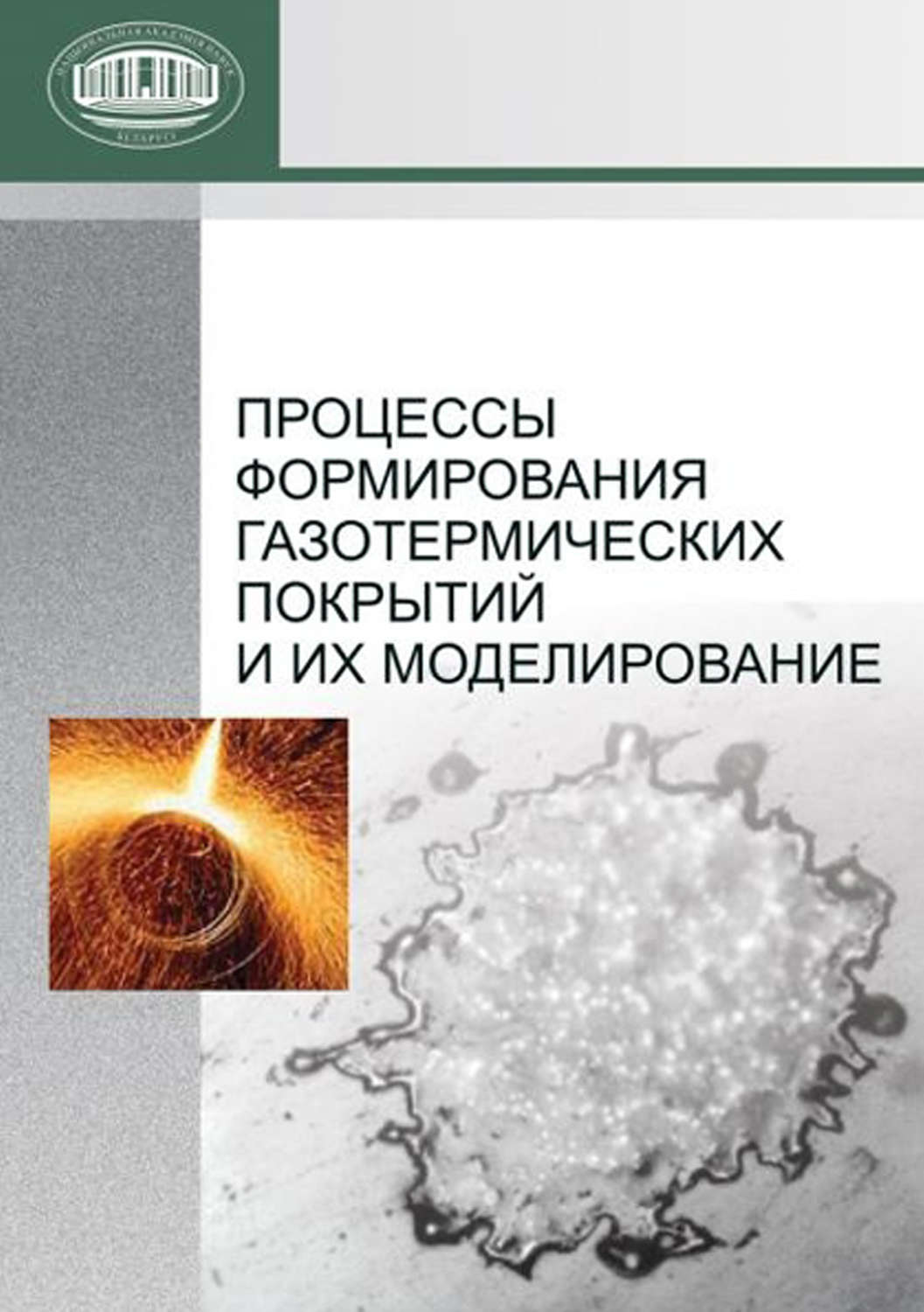 Обложка книги «Процессы формирования газотермических покрытий и их моделирование»