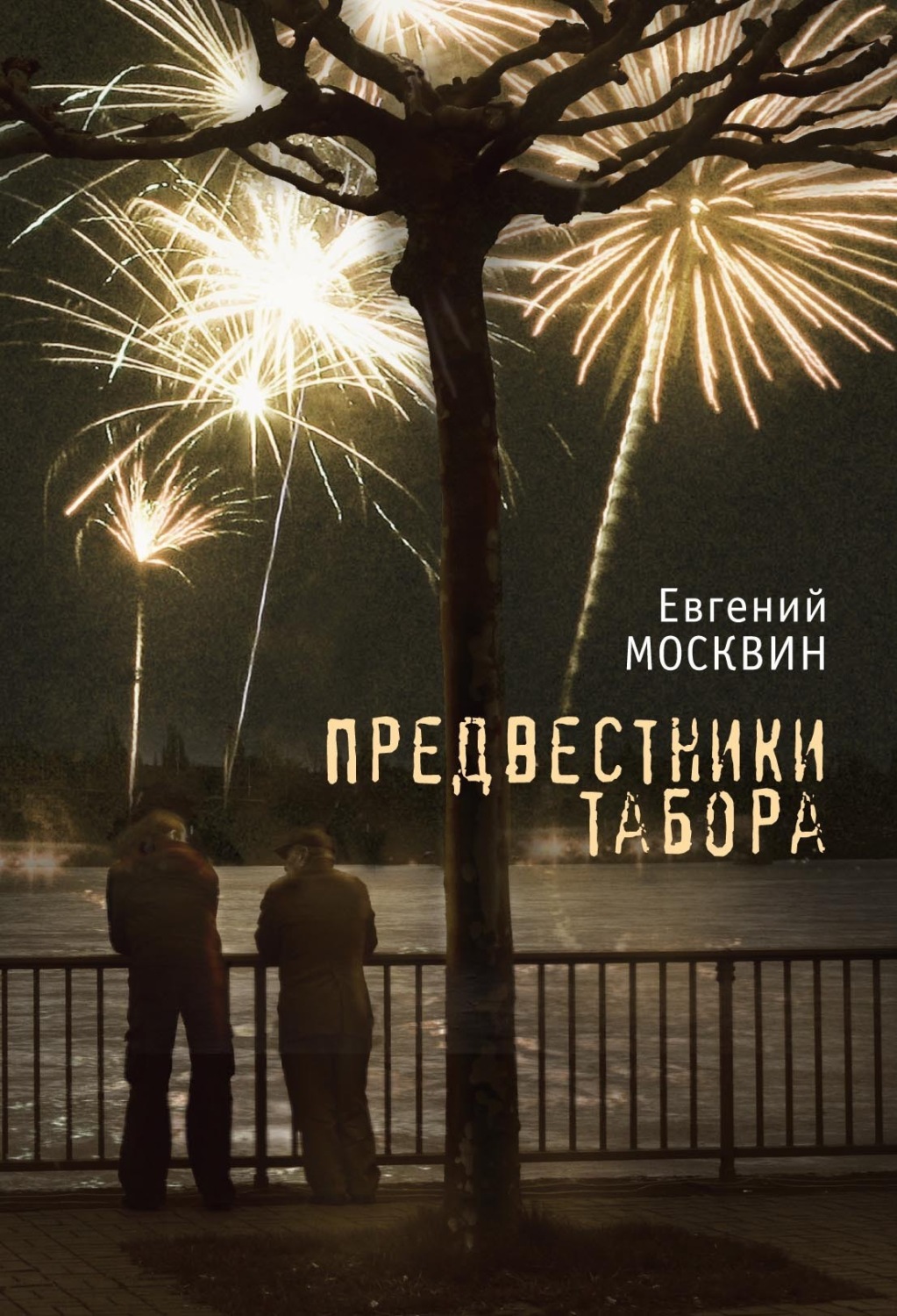 Обложка книги «Предвестники табора»