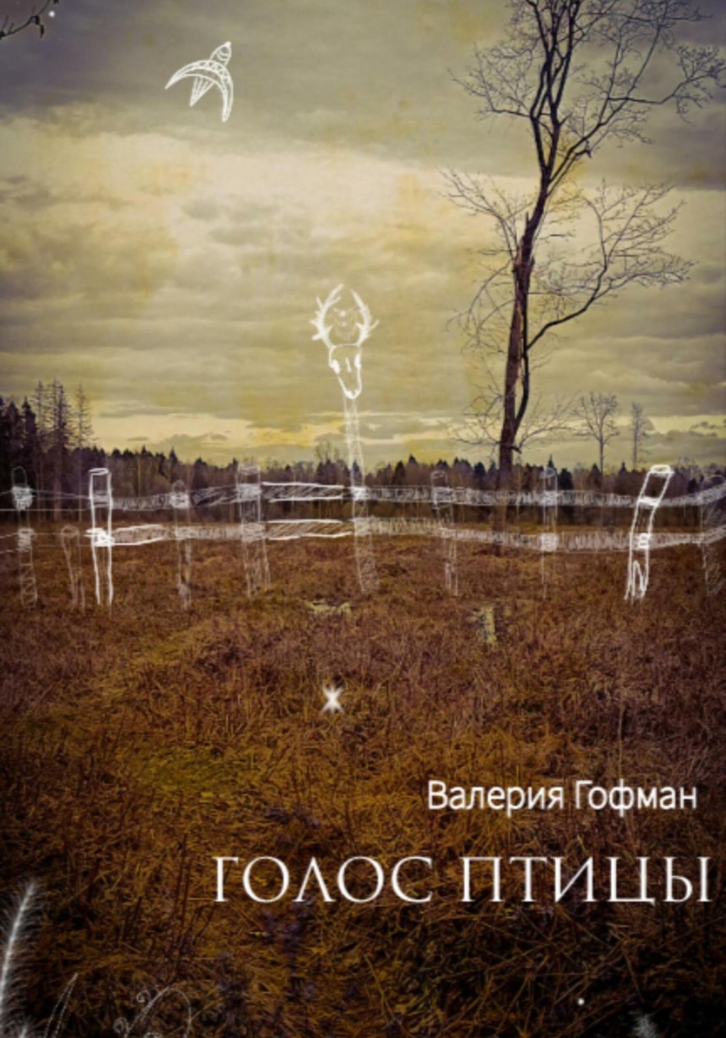 Обложка книги «Голос птицы»