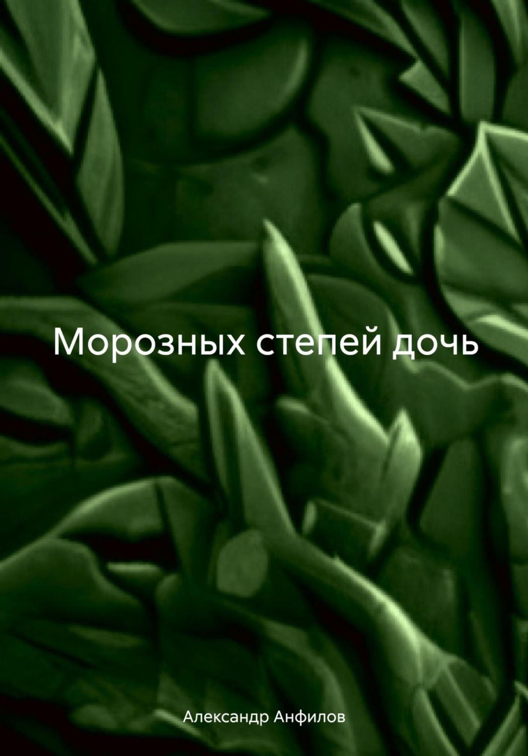 Обложка книги «Морозных степей дочь»