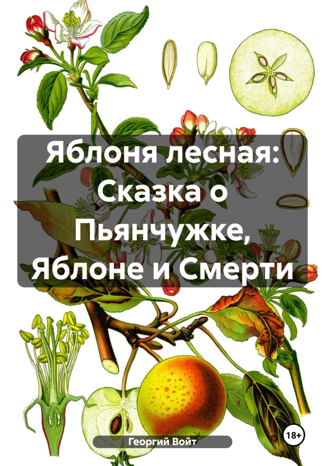 Обложка книги «Яблоня лесная: Сказка о Пьянчужке, Яблоне и Смерти»