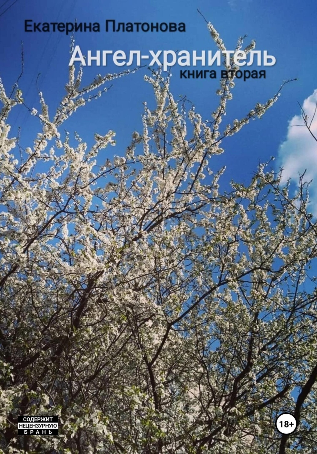 Обложка книги «Ангел-хранитель. Книга вторая»